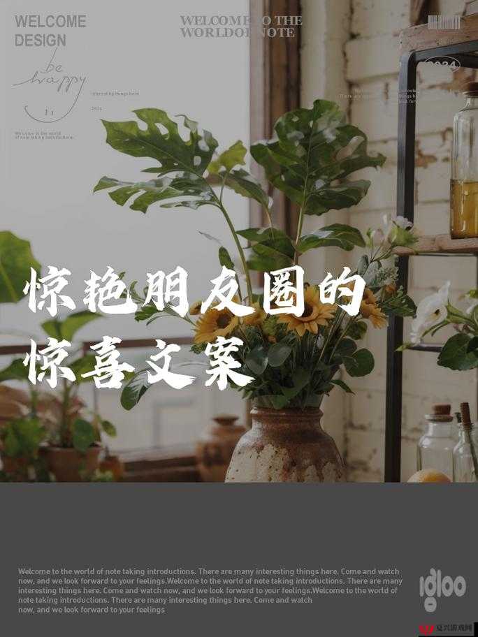 嘿呦一二呦：带你走进充满惊喜与欢乐的奇妙世界