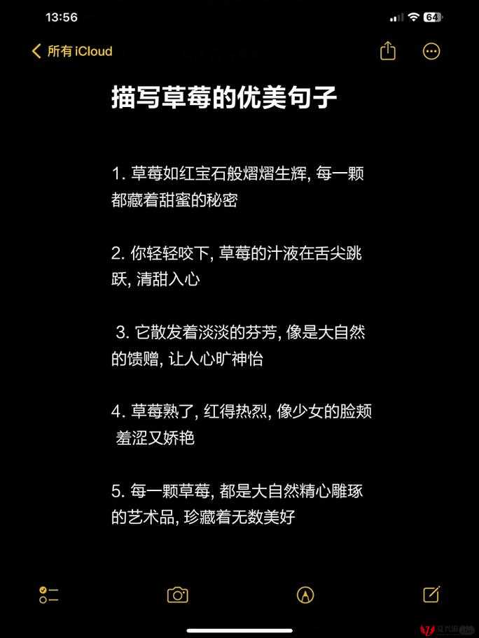 蜜丝婷大草莓与小草莓比较：谁更能俘获你的心