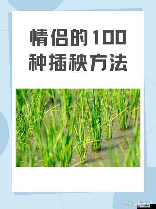 床上100 种插秧方法简笔画：详细解读与技巧分享